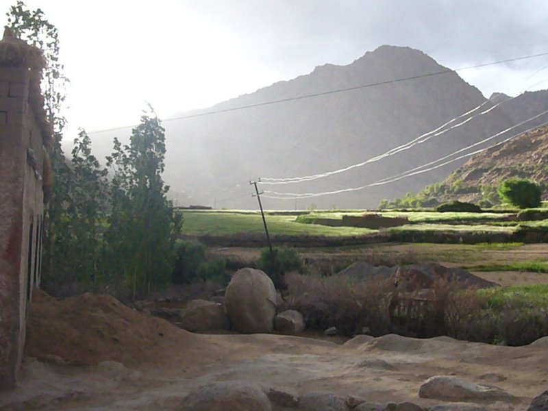 Travel - India - Ladakh - Rented Car - To Yangtang and back